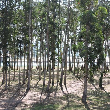 Apartamento Pie De Playa, El Puntal-Villaviciosa บีญาวิซิโอซา ภายนอก รูปภาพ