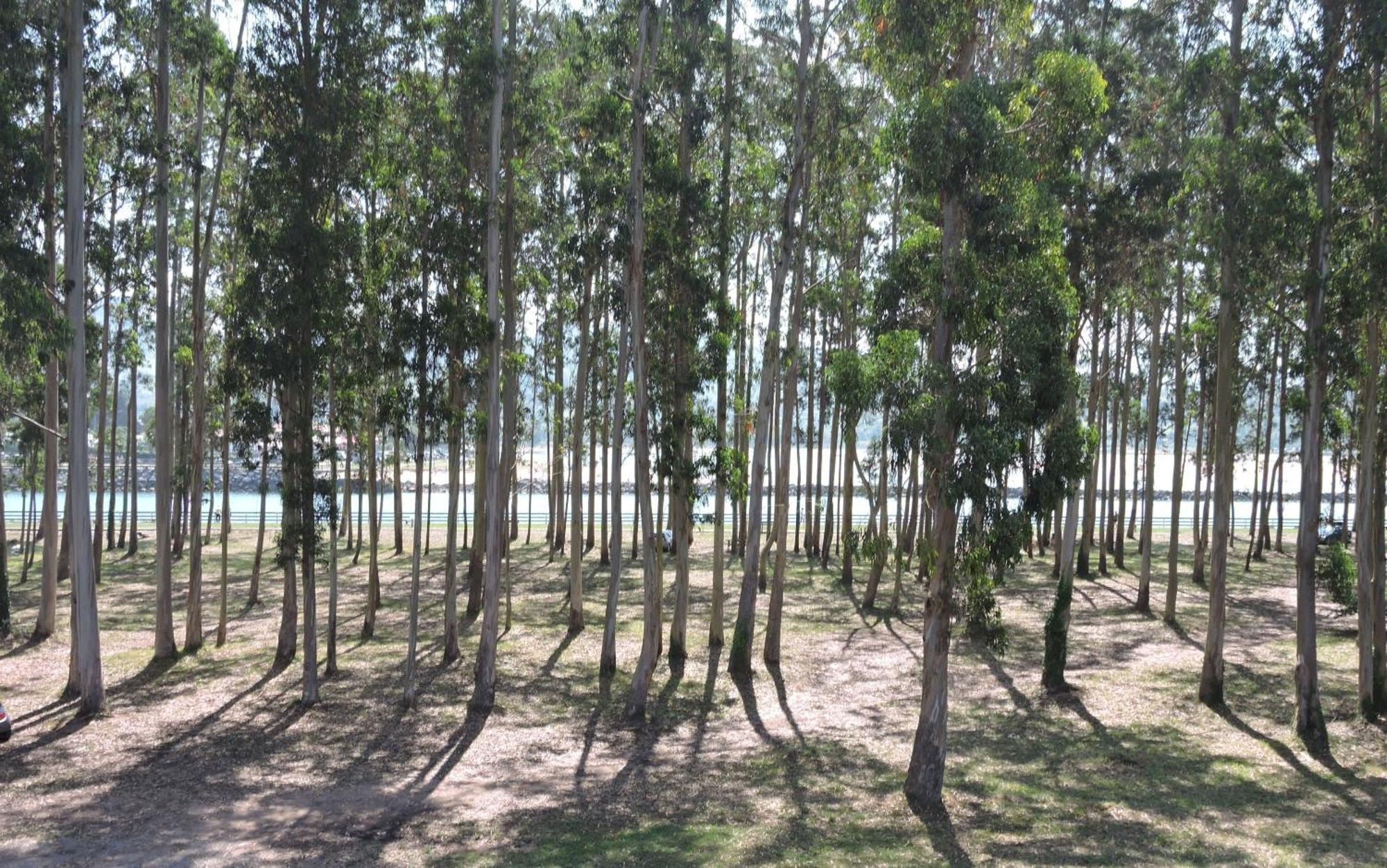 Apartamento Pie De Playa, El Puntal-Villaviciosa บีญาวิซิโอซา ภายนอก รูปภาพ